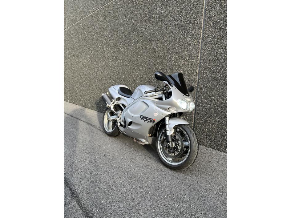 TRIUMPH DAYTONA 955i